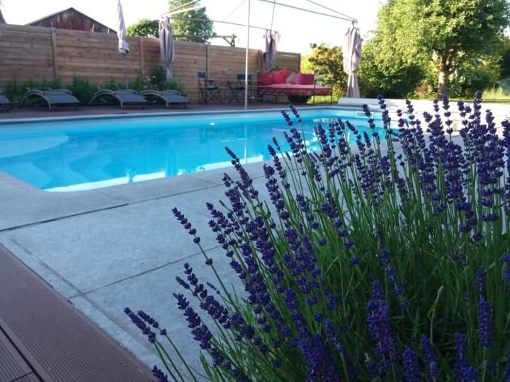 Chambres D Hotes ,Hotel ,Secret D'Une Nuit A Vicq Pres De Onnaing,Avec Piscine المظهر الخارجي الصورة