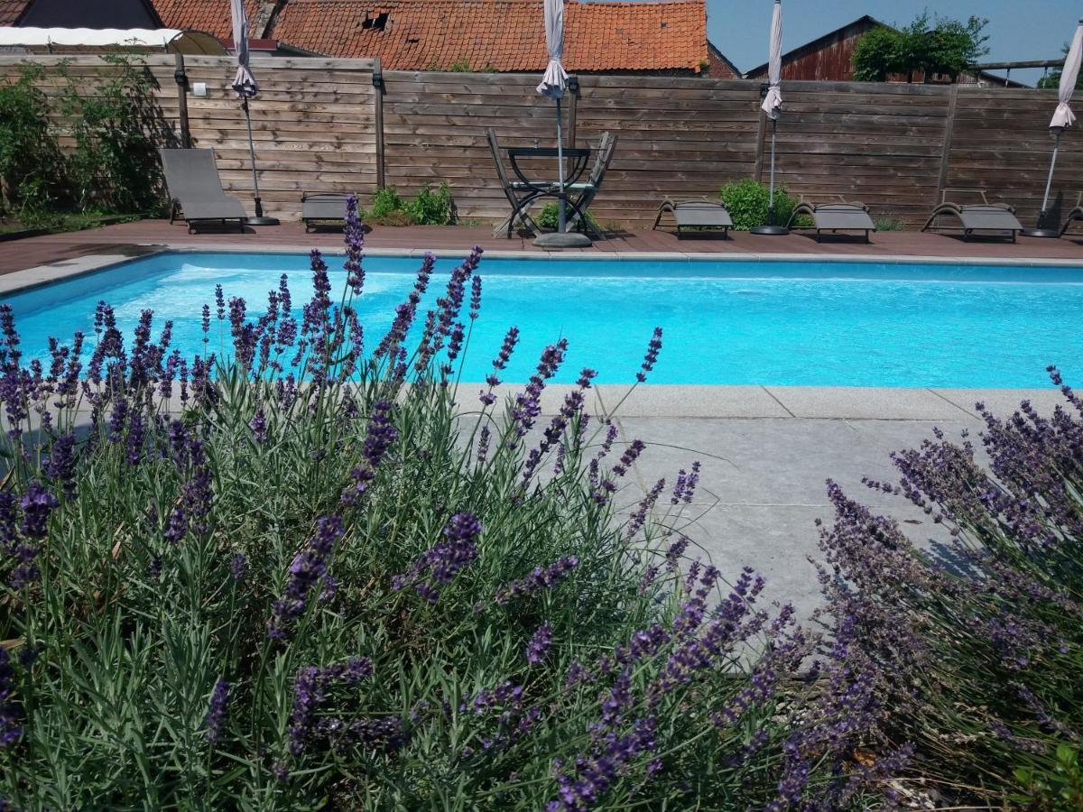Chambres D Hotes ,Hotel ,Secret D'Une Nuit A Vicq Pres De Onnaing,Avec Piscine المظهر الخارجي الصورة